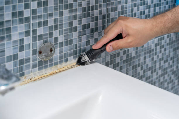 Best Mold Remediation for Specific Building Types in Boaz, WV